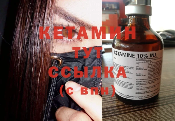 шишки Вязники