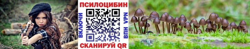 Галлюциногенные грибы Magic Shrooms  MEGA сайт  Дятьково 