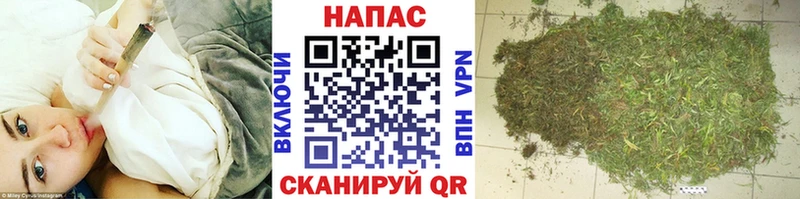 mega tor  Дятьково  Каннабис план 